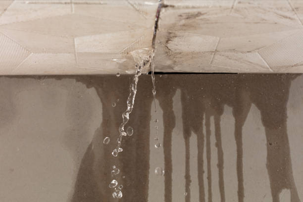 Professional Flood Damage Cleanup technician working in Elmore, AL